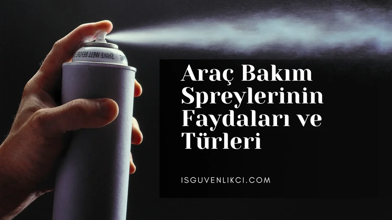 Araç bakım spreyi kullanan bir kişi